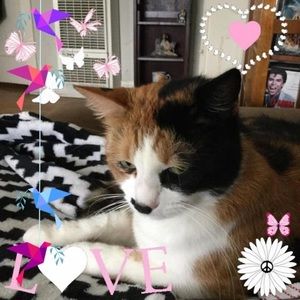 Meet your Posher, Sharon